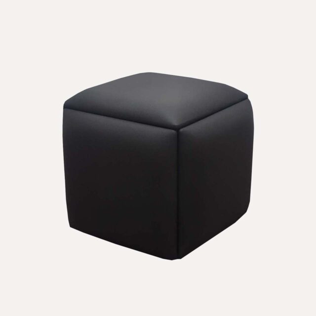 Flexi puf shaganakagyn